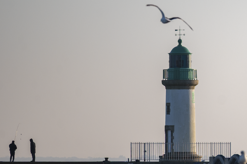 Accompagnements psychologiques Ingrid Dorat - photos Tifenn