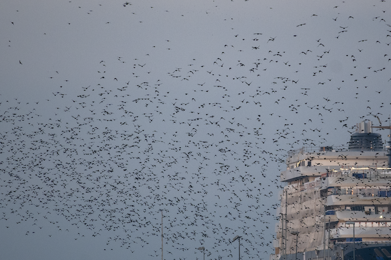 Consultations psy Ingrid Dorat - photos Tifenn